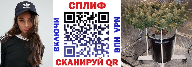 OMG ТОР  Невель  Конопля THC 21% 